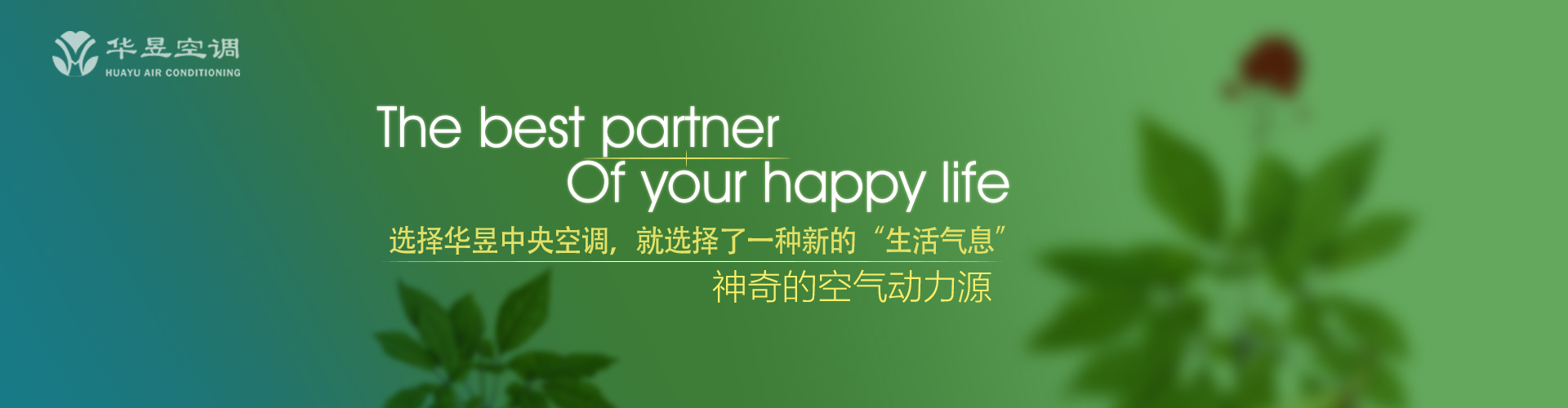 不能自已网